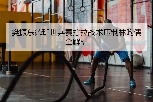 樊振东德班世乒赛拧拉战术压制林昀儒全解析